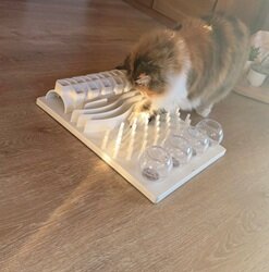 Katzenbetreuung Katzenbetreuung, Urlaubsbetreuung