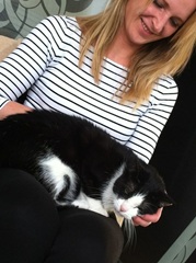 Katzenbetreuung Katzenbetreuung