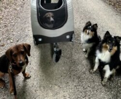 auch mit Buggy möglich Gruppe mit Buggy